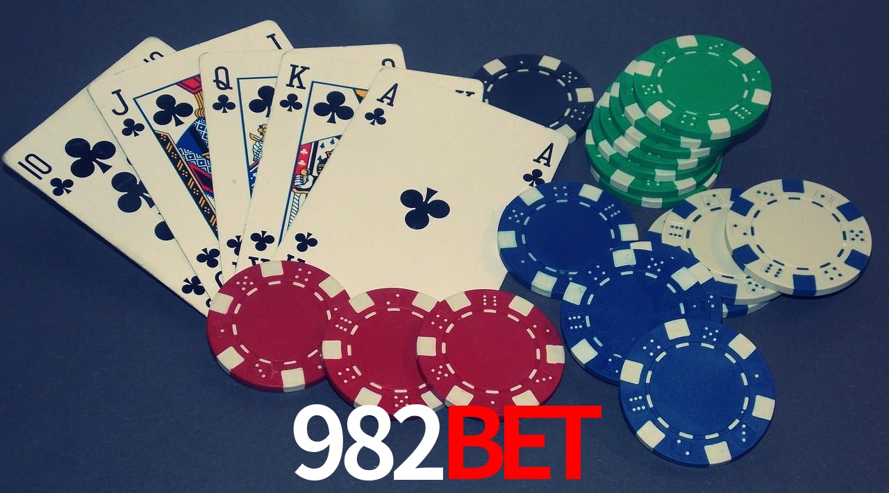 Experiência VIP 982BET